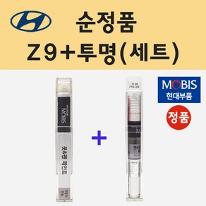 순정품 현대 Z9 크리스탈실버 붓펜 페인트 + 투명마감용붓펜 8ml, 1개