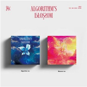 개봉앨범 포토카드 없음 / QWER (큐더블유이알) - 2nd Mini ALBUM [Algoithm's Blossom] Algoythm 버전