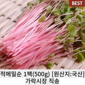[국내산/국산] 식이섬유 풍푸한 적메밀순 1팩(500g) 가락시장 직송 분홍 빨강 빨간 메밀 메밀순 특수 채소 야채, 1개, 500g