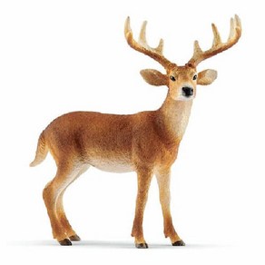 Schleich 슐라이히 14818 [Wild Life 시리즈 흰꼬리사슴(수컷)], 1개