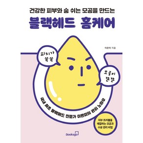 건강한 피부와 숨 쉬는 모공을 만드는블랙헤드 홈케어:국내 최초 블랙헤드 전문가 이은미의 관리 노하우, 북스고, 이은미