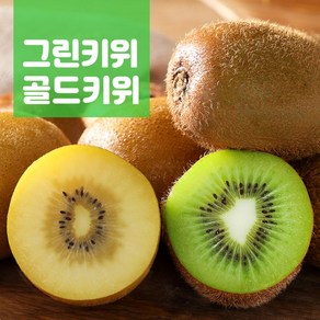 전남 보성 국산 그린키위 골드키위 중과 대과 특 특대 키위 참다래 2kg 5kg, 1박스, 5kg (그린 키위 중소 62개)