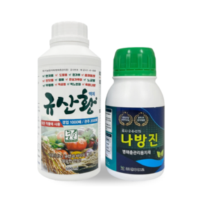 성공팜 규산황 나방진 250ml 친환경 살충제 살균제 고추 탄저병 총채벌레 담배나방 배추, 1개