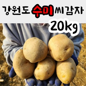 강원도 씨감자 수미 ( 야채 반찬용 ) 20kg 감자종자 감자씨앗 수미씨감자, 수미씨감자 20kg, 1개