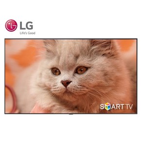 LG 65인치 4K 올레드 UHD TV OLED65C3 올레드 스마트 TV 유튜브 넷플릭스, 방문설치, 스탠드형