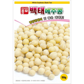 콩씨앗종자) 백태콩(메주콩)(1kg) S2562, 3개