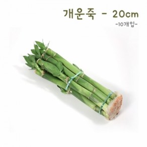 개운죽 20cm(10개)