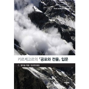 키르케고르의 공포와 전율 입문, 서광사, C. 칼리슬 저/임규정 역