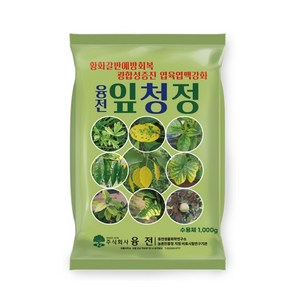 [대풍종묘농약] 융전 잎청정 - 황화갈반예방회복 광합성증진 엽육엽맥 강화, 1개