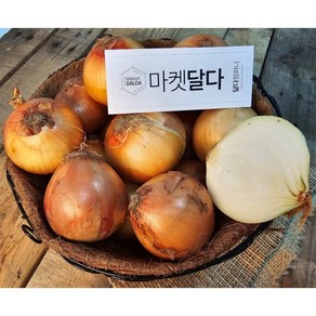 국내산 양파 양파 무안 함평 해남 등 산지출하중, 양파 10kg(진짜짱아찌용), 1개