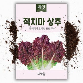 씨앗팜 적치마 상추씨앗 (4g) 적상추 씨