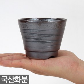 세인화분 알주분 화분 1P - 랜덤발송, 1개, 약 95x75x60mm, 알주분(S234)