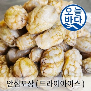 마산 진동 냉동. 생물 오만둥이(최상급) 산지직송 1kg (2개 이상 구매시 오만둥이 400g 증정)