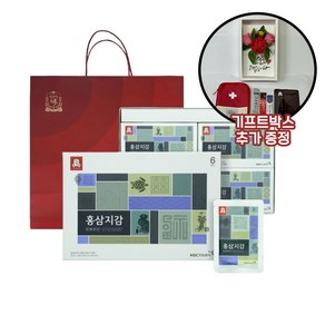 정관장 홍삼지감 50ml x 20포 쇼핑백 기프트상자 가정의달 카네이션 선물 어버이날 부모님선물, 1L, 1개