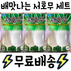 배맛나는 달콤한 무 품종 서호무 2000립 3봉기획전 [무배]가을무우씨앗 가을무씨앗 김장무씨앗 김장무우씨앗 무종자 가을무종자, 1개
