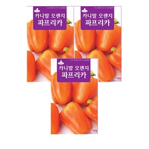 모두다 채소씨앗 오렌지파프리카씨앗(10립), 3개