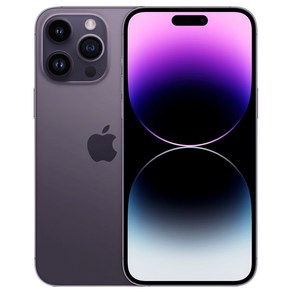Apple 정품 아이폰 14 Po Max 자급제, 딥퍼플, 256GB