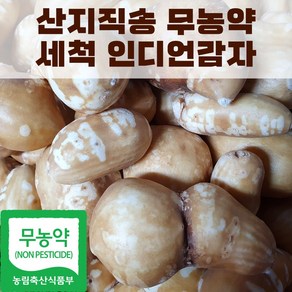 산지직송 국내산 세척 인디언감자 아피오스 콩감자