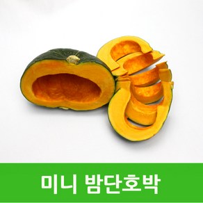 국내산 미니밤단호박2kg 햇밤단호박 싱싱지오, 1개