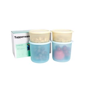 타파웨어 Tuppewae 타파웨어 싱싱블록 냉동용기 4 종 세트1.1L x 2p+530mL x 2p, 1세트