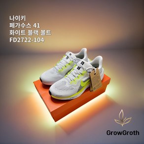 [ALL 정품] 나이키 NIKE 페가수스 41 M 로드 런닝화 반응성 큐셔닝 듀얼 에어줌 리엑트줌 패션실속러닝화 FD2722-104