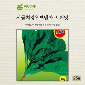 킹오브덴마크 시금치 씨앗 25g 봄여름 만추대성 시금치씨 종자, 1개