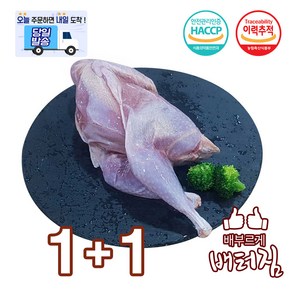 (배터짐) 영양만점 토종 꿩고기 장끼 두마리, 1kg, 2개