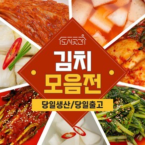 도시곳간 당일주문생산발송 저염 저당 김치 7종, 파김치 260g, 1개