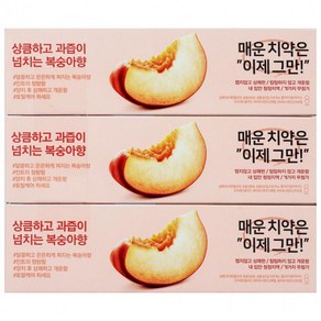 플레시아 피치민트향 치약 120g x 3개입, 1세트, 360g