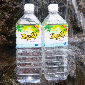 광양 고로쇠 수액 당일채취 철저한 수질검사, 6개, 1L