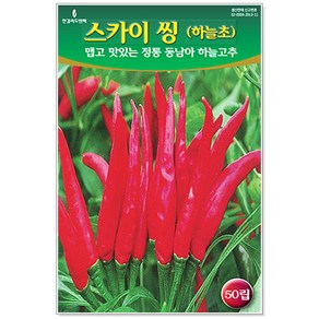 세인화분 스카이 씽 하늘초 50립 - 매운 고추씨 고추씨앗 하늘고추, 1개