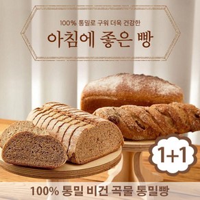 아침에 좋은빵 / (1+1) 100% 통밀빵 비건 통곡물 저당빵 430g