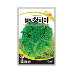 솔림텃밭몰 청치마상추씨앗 3000립 웰빙청치마 상추씨앗 상추씨