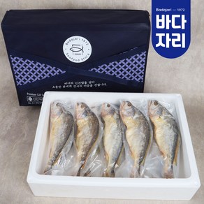 바다자리엄선 개별진공 보리굴비10미 선물세트 법성포 부세굴비 특대 프리미엄, 1개