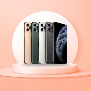 아이폰 11 프로맥스 iPhone 11 po max 공기계 자급제, 512GB, 스페이스그레이