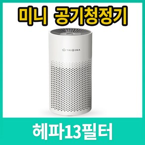 트리아이나 미니 공기청정기 가정용 TN-R22 본품