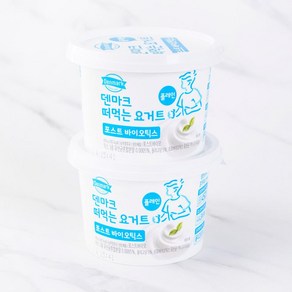 [메가마트]동원 덴마크 떠먹는 요거트 비플레인쿽 450g*2입, 450g, 2개