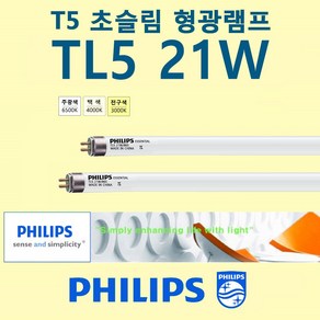 필립스 PHILIPS 21W T5 초슬림 삼파장 형광 간접 조명등 [2개], 주광색, 2개