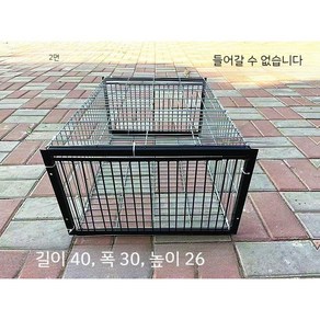 비둘기 포획기 새 유해조류 조류 철망 덫 케이지 새잡는도구, A.  40 x 30 x 26 2면 입구 없음