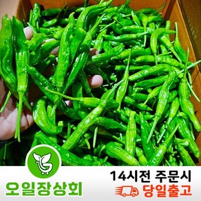 행사< 오일장상회 > 국내산 꽈리고추 500g 1kg 2kg 내외, 1개, 랜덤2kg내외