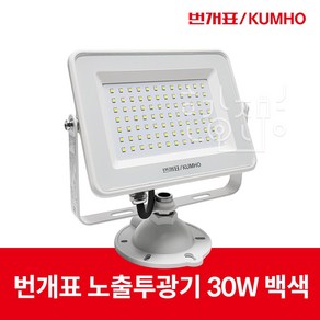 금호전기 번개표 LED 투광기 투광등 30W IP65, 1개