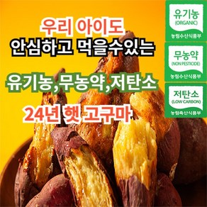 [믿고먹는유기농] 친환경 무안 유기농 베니하루카 꿀고구마 퍽퍽한 밤 호박 고구마 3kg 5kg 10kg 한입 중 상 대