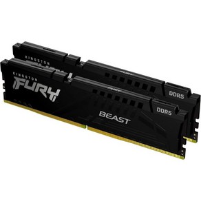 킹스턴 퓨리 비스트 16GB 2x8GB 5200MTs DDR5 CL36 데스크탑 메모리 키트 2개  AMD EXPO 플러그 앤 플레이 KF552C36BEK216, 5600MT/s_32GB (2x16GB)