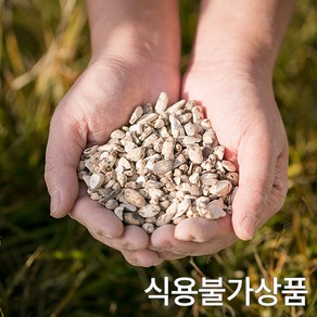 한가람건강원 국산 건 향부자 사초뿌리 100% 효능 약재 약초 200g, 1개