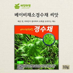 다농 베이비경수채 씨앗 10g, 1개