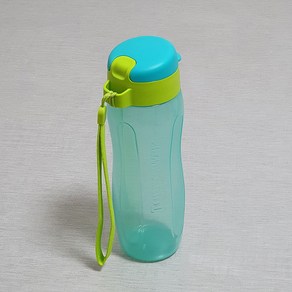 타파웨어 물통 물병 에코 500ml 1P, 끈블루