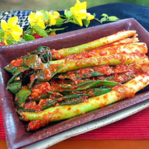 [당일출고] 대파김치 맛있는 파김치 10kg 대용량 수입 중국산 업소용 알싸한 수입산, 1박스