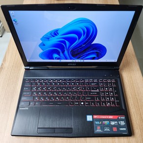 MSI 고사양 게이밍노트북 GP63, WIN11 Home, 16GB, 1TB, 블랙