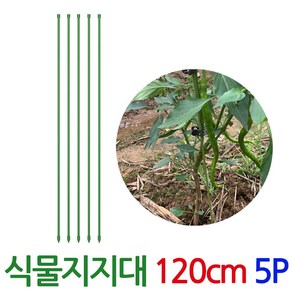 식물지지대 120cm 5개1세트 고추지지대 국화 금전수 지주대