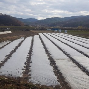 서리방지부직포 못자리부직포 냉해방지 마늘부직포 고추부직포 한랭사 한냉사 병충해방지 겨울작물 20g 폭1.8m 길이400m